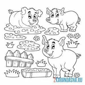 Раскраска свиньи гуляют