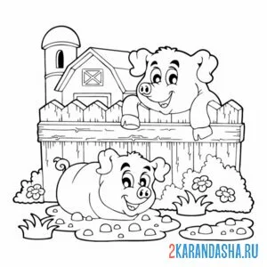 Раскраска ферма со свиньями