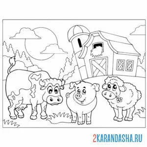 Раскраска свинья, бык и овца