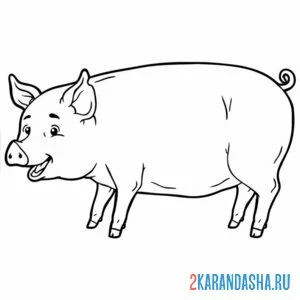 Раскраска большая свинья