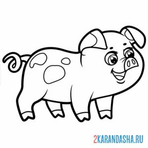 Раскраска смешная свинка