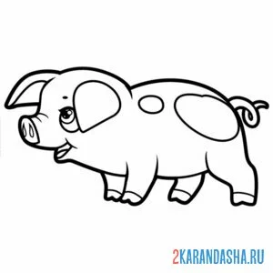 Раскраска поросенок милаш