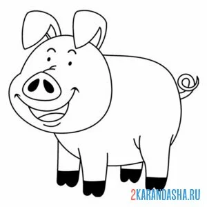 Раскраска хрю свинья