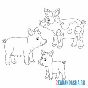 Раскраска разные свиньи