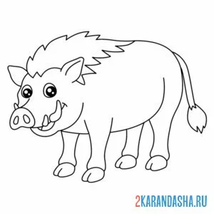 Раскраска кабан