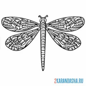 Раскраска большая стрекоза
