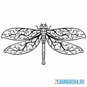 Раскраска стрекоза в узорах