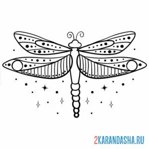 Раскраска стрекоза в звездах