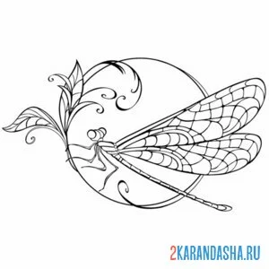 Раскраска стрекоза на ветке