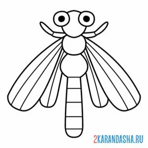 Раскраска стрекоза простая иллюстрация