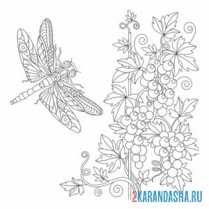 Раскраска арт стрекоза и цветы