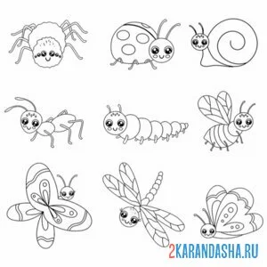 Раскраска насекомые