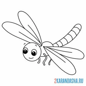 Раскраска маленькая стрекоза