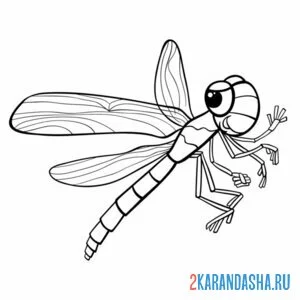 Раскраска стрекоза и лапки