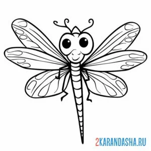 Раскраска большеглазая стрекоза