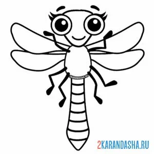 Раскраска симпатичная стрекоза