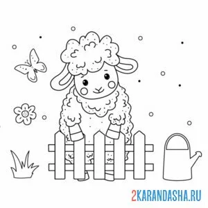 Раскраска барашек за забором