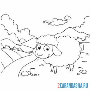 Раскраска овечка на реке