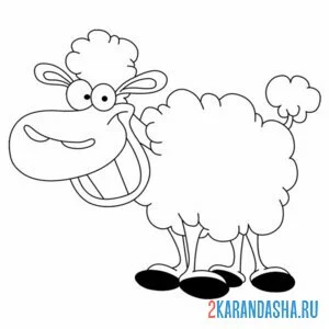 Раскраска овца