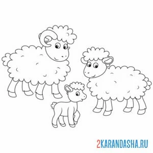 Раскраска семья баран, овца и барашек