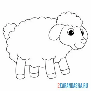 Раскраска кудрявая овечка