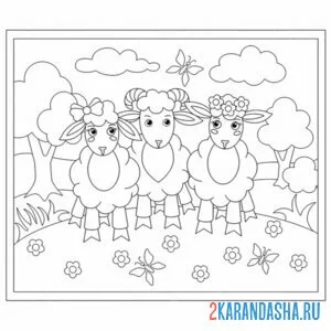 Раскраска баран и овечки
