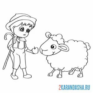 Раскраска пастух и овца