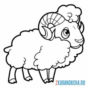 Раскраска настырный баран