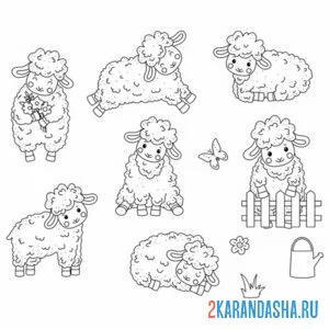 Раскраска разные овечки