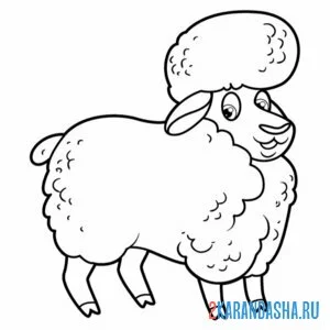 Раскраска овечка с прической