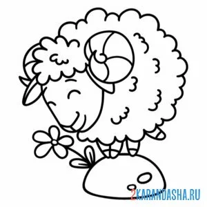 Раскраска баран и цветочек