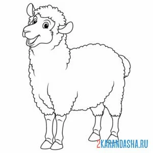 Раскраска барашек без рогов