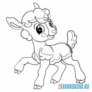 Раскраска овечка милашка