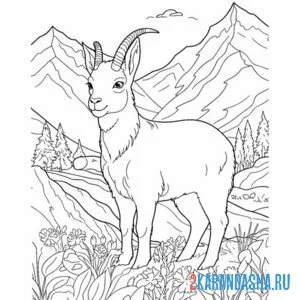 Раскраска горный козел в горах
