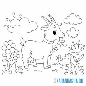 Раскраска коза ест травку