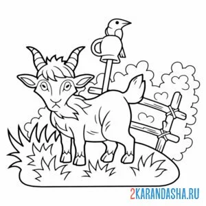 Раскраска козел в деревне