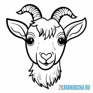 Раскраска коза голова