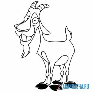 Раскраска козел бородатый