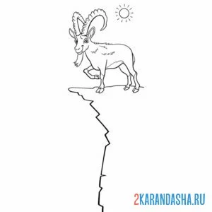 Раскраска горный козел на обрыве