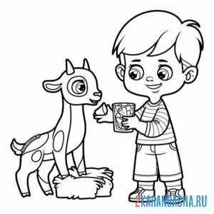 Раскраска козленок и мальчик