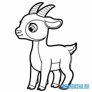 Раскраска маленький козелнок
