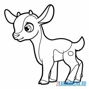 Раскраска козлик малыш козленок