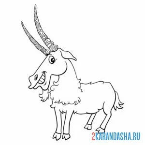 Раскраска горный козел с длинными рогами
