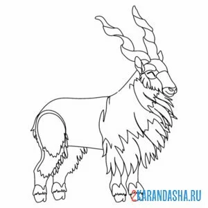 Раскраска длинные рога у козла