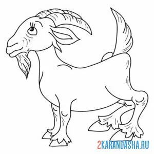 Раскраска взрослый козел