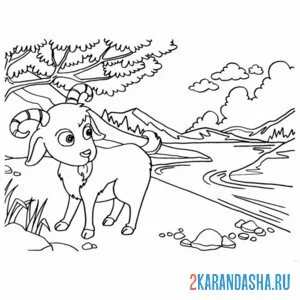 Раскраска козел у реки
