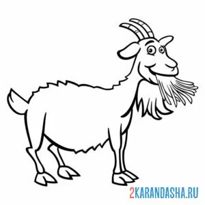 Раскраска козел жует траву