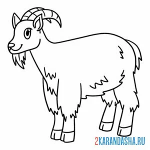 Раскраска козел беее