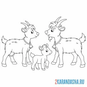Раскраска козел, коза и козленок