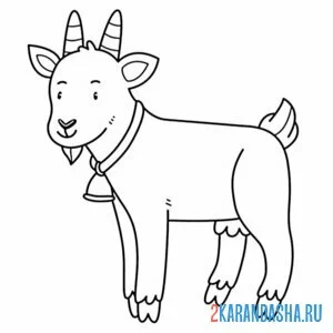Раскраска борода у козлика